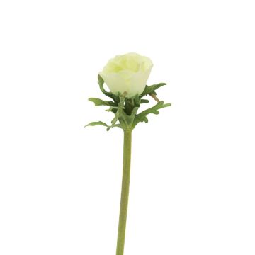 Decorative anemone flower BOYANG, light green, 14"/35cm, Ø2.4"/6cm Decorative anemone flower BOYANG, light green, 14"/35cm, Ø2.4"/6cm