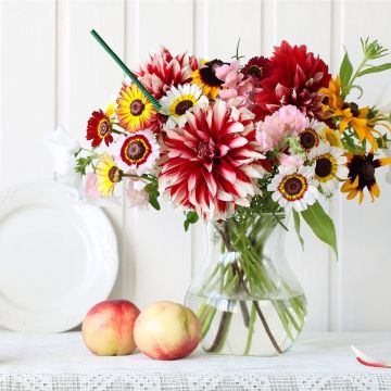 Fragrance Wild & Sweet - Summery Fragrance Decoration