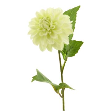 Artificial dahlia WANRU, cream, 50 cm, Ø9 cm Artificial dahlia WANRU, cream, 50 cm, Ø9 cm