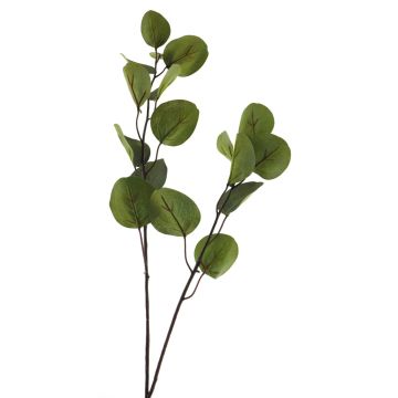 Artificial eucalyptus branch AOSHAN, green, 80cm