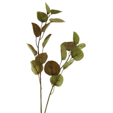 Artificial Eucalyptus Branch AOSHAN, brown-green, 80 cm
