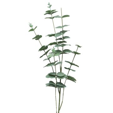 FENYU decorative eucalyptus branch, green and white, 90cm