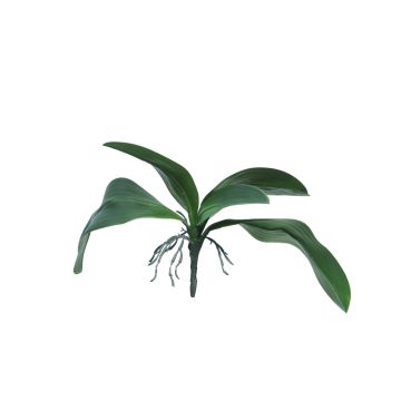 Decorative Phalaenopsis orchid Leaves WUJUAN with aerial roots, 14"/35cm Decorative Phalaenopsis orchid Leaves WUJUAN with aerial roots, 14"/35cm