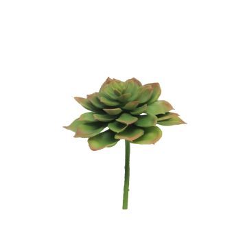 Foam Echeveria morani XINYA on a stick, green-red, 17cm Foam Echeveria morani XINYA on a stick, green-red, 17cm