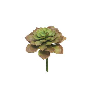 Foam Echeveria morani XINYA on a stick, red-green, 17cm Foam Echeveria morani XINYA on a stick, red-green, 17cm