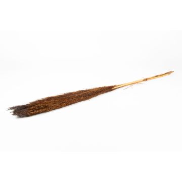 Dried bunch of reeds DONJETA, brown, 4ft/115-120cm, Ø6"/15cm