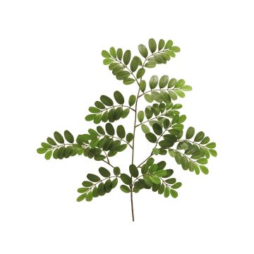 Plastic black locust branch WENLIN, green, 70cm Plastic black locust branch WENLIN, green, 70cm