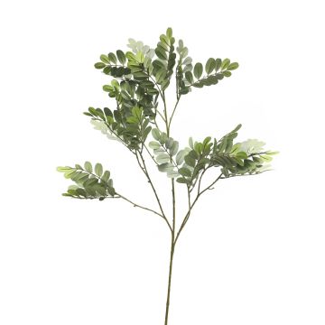 WENLIN plastic black locust branch, grey-green, 100 cm WENLIN plastic black locust branch, grey-green, 100 cm