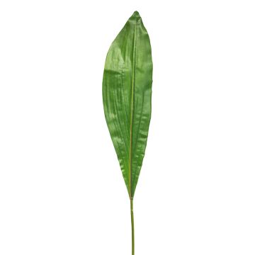 Decorative leaf, club lily XIANGAN, green, 90cm Decorative leaf, club lily XIANGAN, green, 90cm