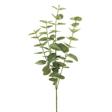 Artificial eucalyptus branch MINJIA, green, 65cm