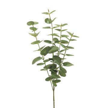 Artificial eucalyptus branch MINJIA, green-grey, 65cm