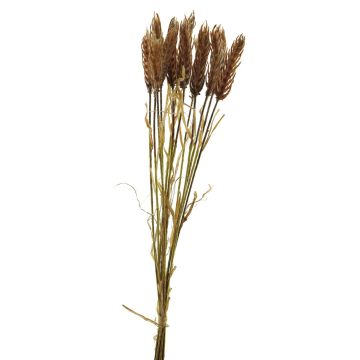 Plastic bunch of wheat YANGMEI, peach, 55cm