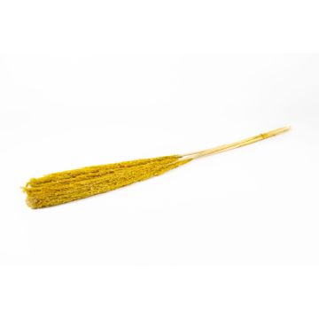 Dried bunch of reeds DONJETA, yellow, 4ft/115-120cm, Ø6"/15cm