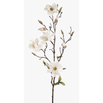 Artificial magnolia LILO, cream, 30"/75cm, Ø 2"-3.5"/5-9cm Artificial magnolia LILO, cream, 30"/75cm, Ø 2"-3.5"/5-9cm