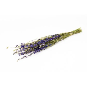 Dried flower bouquet Delphinium AITHANA, blue-green, 28"/70cm, Ø7"/18cm