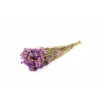 Bouquet of sea lavender BRINJA, dried, purple, 20"-26"/50-65cm, Ø7"/18cm