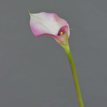 Artificial Calla MARIOLA, pink-white, 31"/80cm, 3.1"x5.9"/8x15cm Artificial Calla MARIOLA, pink-white, 31"/80cm, 3.1"x5.9"/8x15cm
