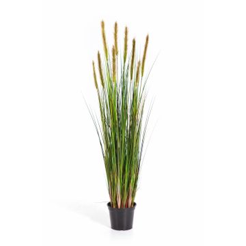 Artificial foxtail grass FREDERIK with panicles, green-yellow, 4ft/120cm