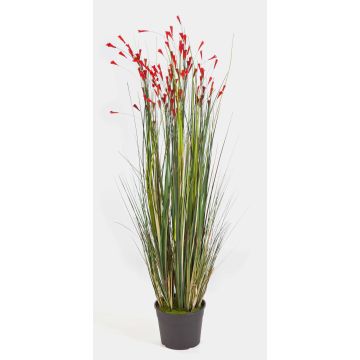 Decorative Bellflower JULIA, red, 4ft/120cm Decorative Bellflower JULIA, red, 4ft/120cm