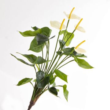 Plastic flower Anthurium LORIE on spike, cream, 22"/55cm, 2.4"x3.1"/6x8cm Plastic flower Anthurium LORIE on spike, cream, 22"/55cm, 2.4"x3.1"/6x8cm