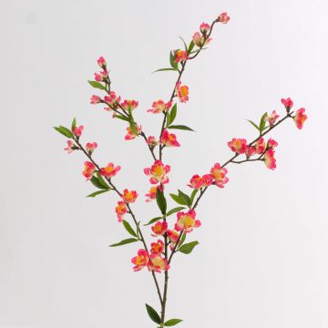 Decorative cherry blossom branch KATHRIN, flowering, cream-pink, 26"/65cm