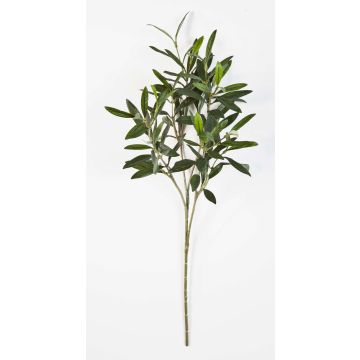 Decorative olive branch KONSTANTINOS, 20"/50cm