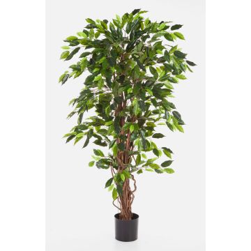 Decorative Ficus Benjamini JARLAN, real stems, green, 4ft/120cm