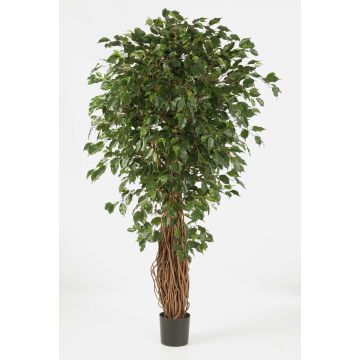 Artificial Ficus Benjamini LUCIUS, real stems, green, 4ft/120cm
