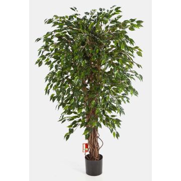 Fake plant Ficus Benjamini DAKU, natural trunks, green, 3ft/90cm Fake plant Ficus Benjamini DAKU, natural trunks, green, 3ft/90cm