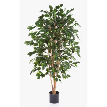 Artificial Ficus Benjamina THIAGO, natural trunks, green, 4ft/120cm