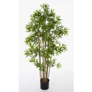 Artificial Bamboo YAN, natural bamboo canes, 200 cm Artificial Bamboo YAN, natural bamboo canes, 200 cm