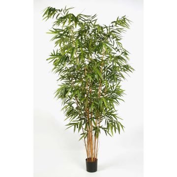 FUDO decorative bamboo plant, natural stems, 240cm FUDO decorative bamboo plant, natural stems, 240cm
