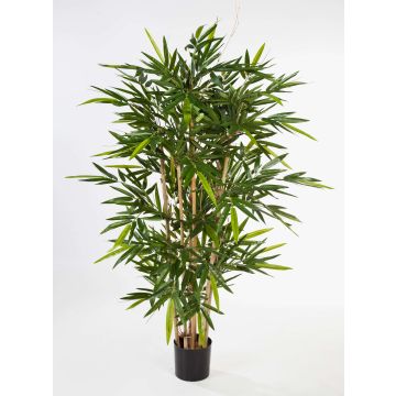 Artificial Bamboo TARIK, Real Stems, 270cm Artificial Bamboo TARIK, Real Stems, 270cm