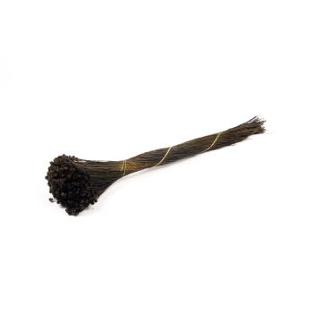 Dried Mediterranean strawflower AKALITI, bouquet, black, 16"-22"/40-55cm, Ø4.3"/11cm
