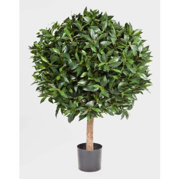 Decorative Cherry Laurel Tree TIBERIUS, natural trunk, fruits, 3ft/100cm, Ø 31"/80cm