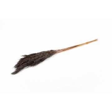 Dried bunch of reeds DONJETA, brown-silver, 28"-31"/70-80cm, Ø6"/15cm
