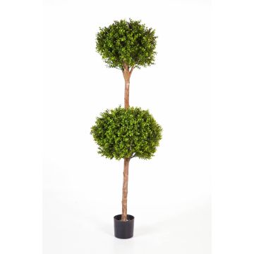 Artificial boxwood 2-ball set TOM, real trunk, 5ft/160cm, Ø20"/50cm