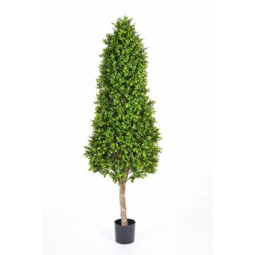 Künstlicher Buchsbaum Kegel TOM, Naturstamm, 170cm Künstlicher Buchsbaum Kegel TOM, Naturstamm, 170cm