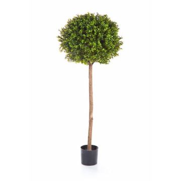 Plastic boxwood TOM, natural trunk, 5ft/140cm, Ø20"/50cm
