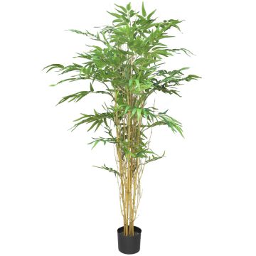 Plastic bamboo tree WANNING, real trunks, 150 cm Plastic bamboo tree WANNING, real trunks, 150 cm