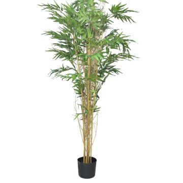 Plastic bamboo tree WANNING, real trunks, 180cm
