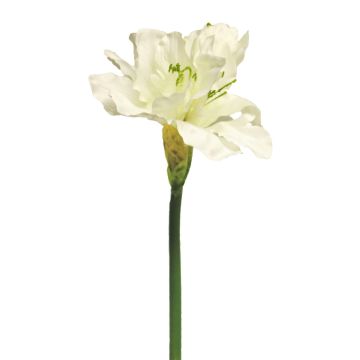 HEJIA decorative amaryllis, cream, 60cm HEJIA decorative amaryllis, cream, 60cm