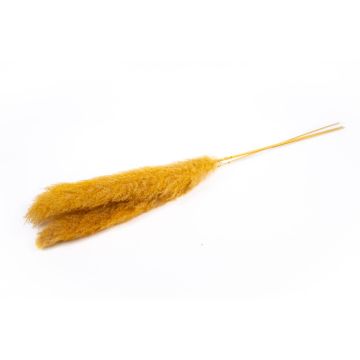 Dried pampas grass ANIAMI, orange-yellow, 4ft-5ft/130-140cm, Ø8"/20cm