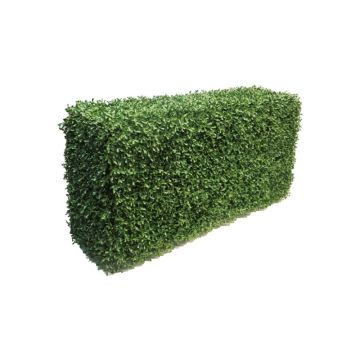 Decorative boxwood hedge FRITZ, metal frame, crossdoor, 20"x12"x3ft/50x30x100cm Decorative boxwood hedge FRITZ, metal frame, crossdoor, 20"x12"x3ft/50x30x100cm