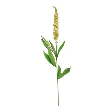 KECAI decorative speedwell, yellow, 75cm KECAI decorative speedwell, yellow, 75cm