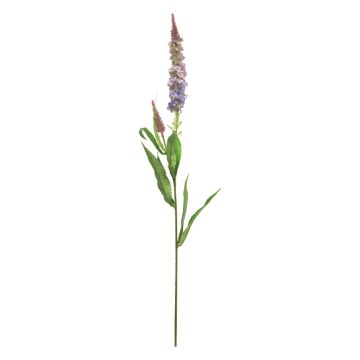 KECAI decorative speedwell, purple, 75cm KECAI decorative speedwell, purple, 75cm