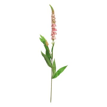 KECAI decorative speedwell, pink, 75cm KECAI decorative speedwell, pink, 75cm