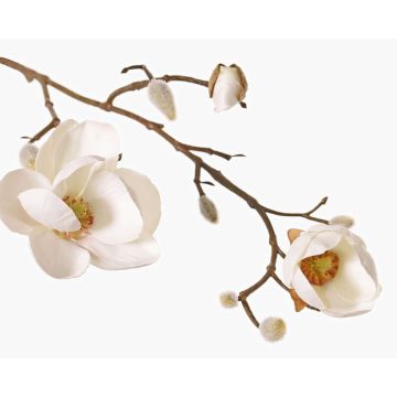 Decorative magnolia branch KOSTAS, white, 55cm, Ø6–8cm Decorative magnolia branch KOSTAS, white, 55cm, Ø6–8cm