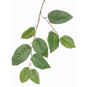 Decorative apple tree branch KONSTANTIN, green, 30"/75cm Decorative apple tree branch KONSTANTIN, green, 30"/75cm