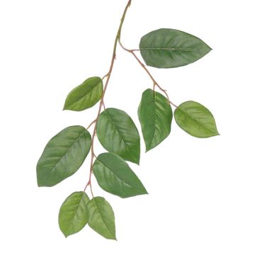 Artificial apple tree branch KONSTANTIN, green, 75cm